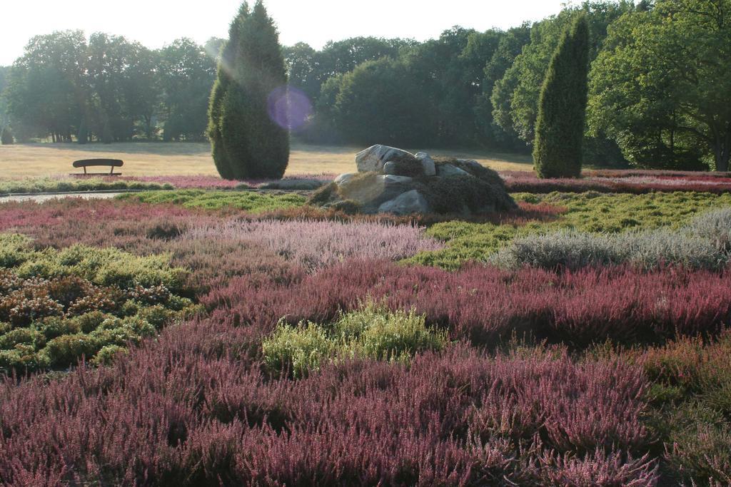 Ferienwohnung Lueneburger Heide Schneverdingen Bagian luar foto