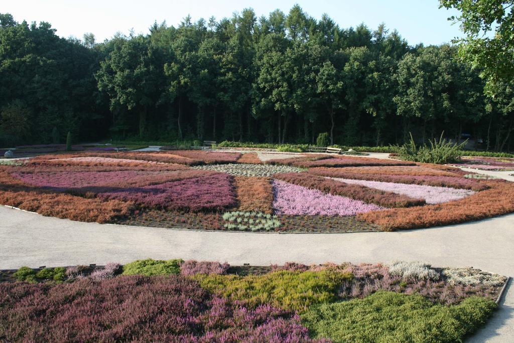 Ferienwohnung Lueneburger Heide Schneverdingen Bagian luar foto